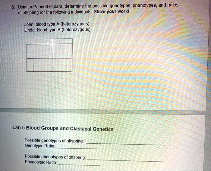 6. Using a Punnett square, determine the possible genotypes, phenotypes, and ratios of offspring ...