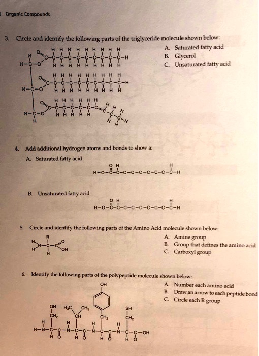 SOLVED: Organic Compounds Circle and identify the following parts of ...