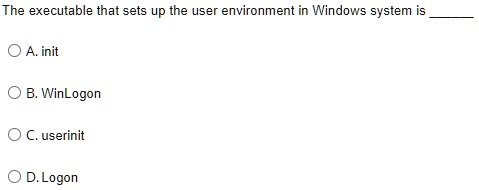 The executable that sets up the user environment in Windows...