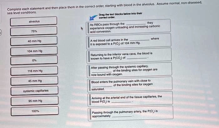 Complete each statement and then place them in the correct order, starting with blood in the alveolus. Assume normal, non-diseased, sea level conditions. alveolus 75% 40 mm Hg 104 mm Hg 0% 116 mm Hg 45 mm Hg systemic capillaries 95 mm Hg 100% As RBCs pass through the they experience oxygen unloading and increasing carbonic acid conversion. A red blood cell arrives in the where it is exposed to a P(O2) of 104 mm Hg. Returning to the inferior vena cava, the blood is known to have a P(CO2) of . After passing through the systemic capillary, of the binding sites for oxygen are now bound with oxygen. Blood enters the pulmonary vein with close to of the binding sites for oxygen saturated. Arriving at the arterial end of the tissue capillaries, the blood P(O2) is . Passing through the pulmonary artery, the P(O2) is approximately .