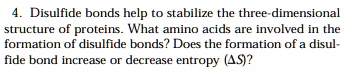 SOLVED: Disulfide bonds help to stabilize the three-dimensional ...