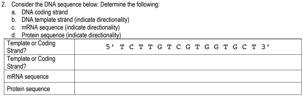 SOLVED: Consider the DNA sequence below: Determine the following: DNA SOLVED: Consider the DNA sequence below: Determine the following: DNA