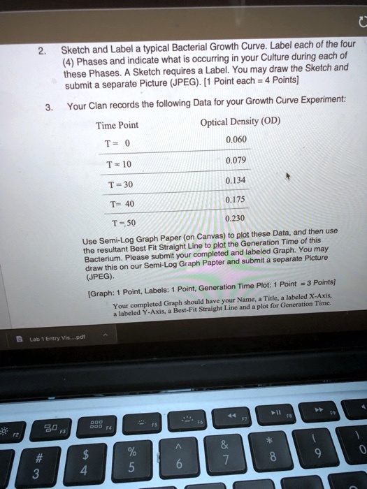 SOLVED: Sketch and Label typical Bacterial Growth Curve. Label each of ...