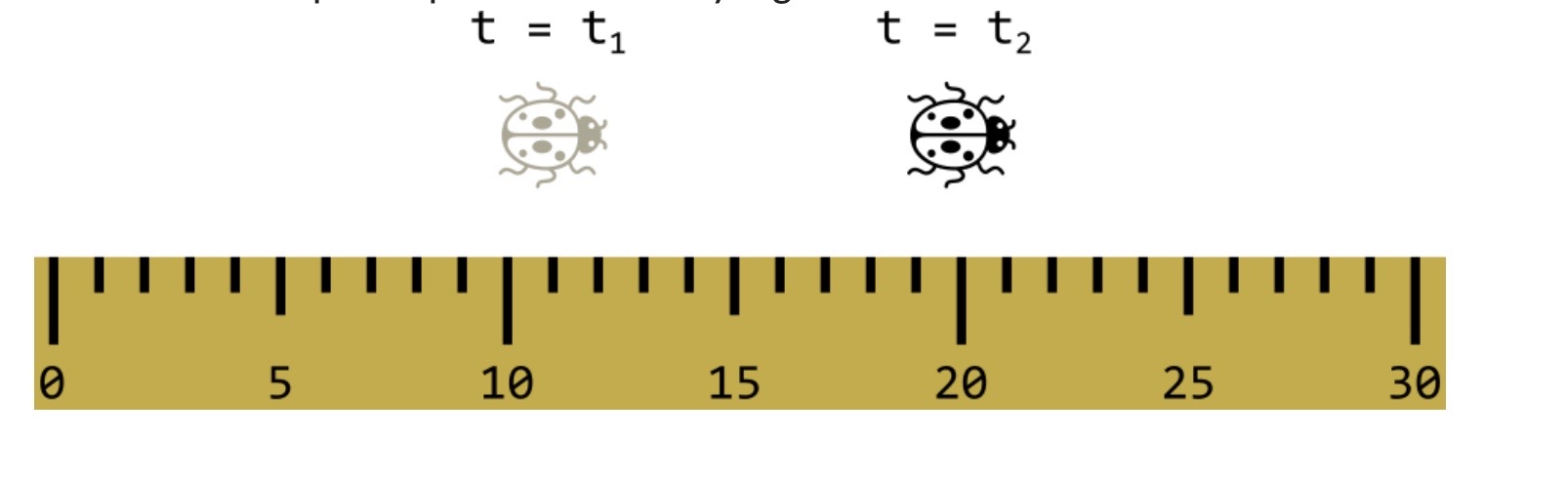 A ladybug is walking next to a ruler as shown below. The units of the ...