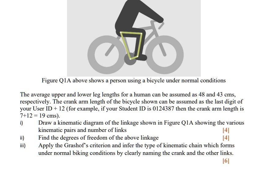 Average length discount of adult bike