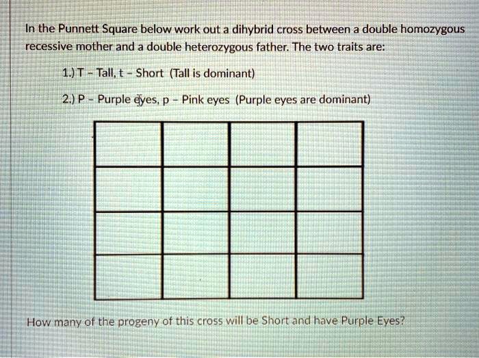 SOLVED: the Punnett Square below work out dihybrid cross between a ...