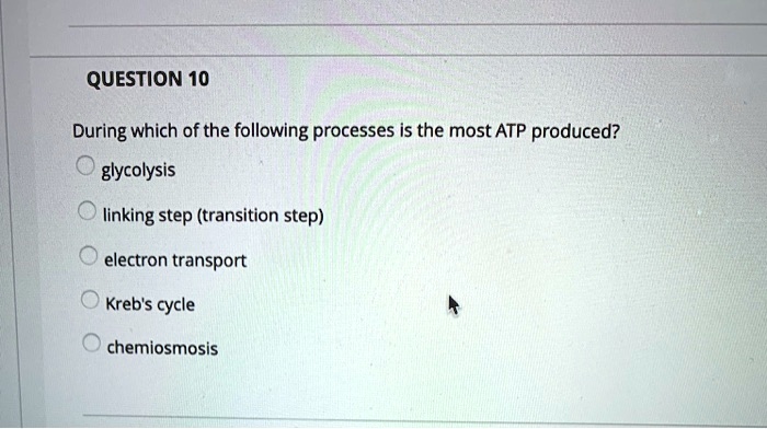 SOLVED: QUESTION 10 During which of the following processes is the most