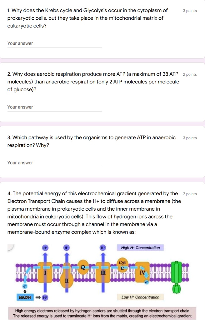 VIDEO solution: Why does the Krebs cycle and Glycolysis occur in the ...