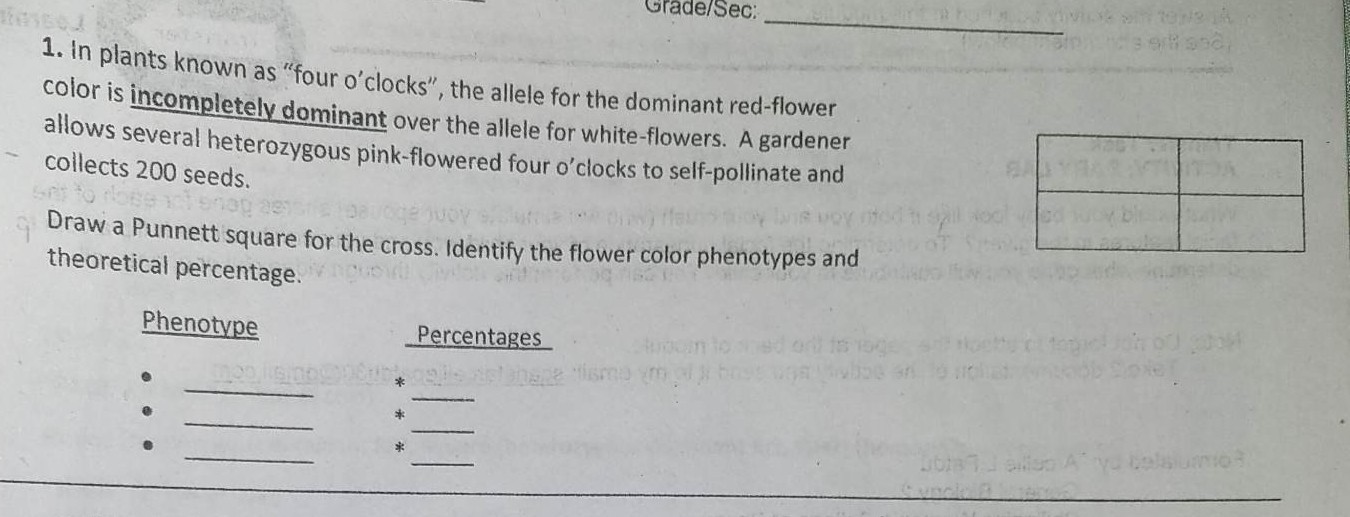 SOLVED Grade/Sec 1. In plants known as "four o'clocks", the allele