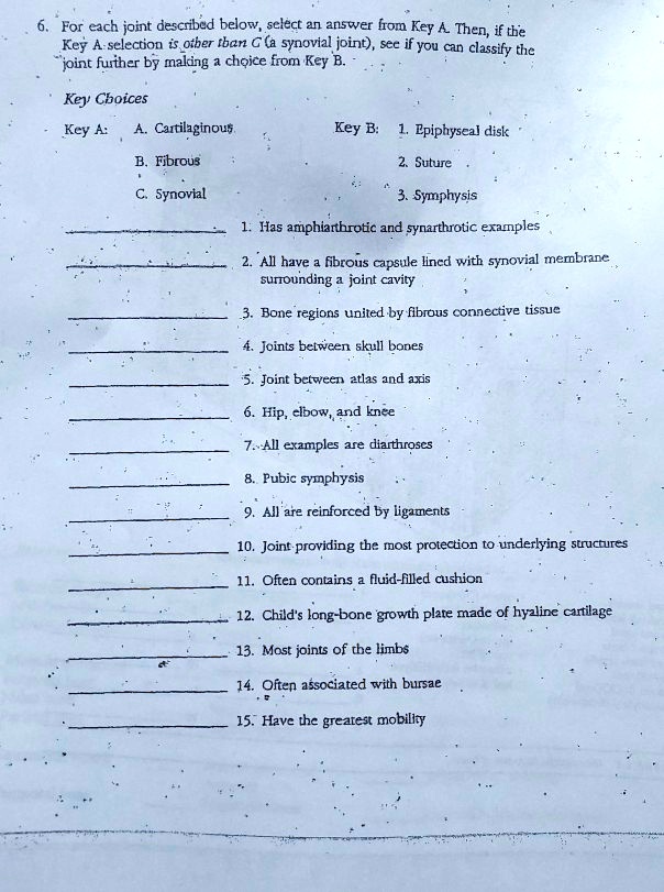6. For each joint described below, select an answer from Key A. Then, if the Key A selection is other than C (a synovial joint), see if you can classify the joint further by making a choice from Key B.

Key Choices
Key A: A. Cartilaginous
B. Fibrous
C. Synovial

Key B: 1. Epiphyseal disk
2. Suture
3. Symphysis

1. Has amphiarthrotic and synarthrotic examples
2. All have a fibrous capsule lined with synovial membrane surrounding a joint cavity
3. Bone regions united by fibrous connective tissue
4. Joints between skull bones
5. Joint between atlas and axis
6. Hip, elbow, and knee
7. All examples are diarthroses
8. Pubic symphysis
9. All are reinforced by ligaments
10. Joint providing the most protection to underlying structures
11. Often contains a fluid-filled cushion
12. Child's long-bone growth plate made of hyaline cartilage
13. Most joints of the limbs
14. Often associated with bursae
15. Have the greatest mobility