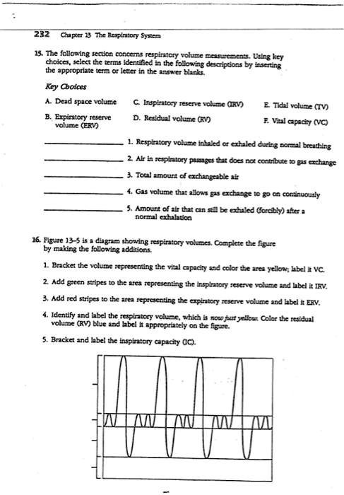 15. The following section concerns respiratory volume measurements. Using key choices, select the terms identified in the following descriptions by inserting the appropriate term or letter in the answer blanks. Key Choices A. Dead space volume C. Inspiratory reserve volume (IRV) E. Tidal volume (TV) B. Expiratory reserve volume (ERV) D. Residual volume (RV) F. Vital capacity (VC) 1. Respiratory volume inhaled or exhaled during normal breathing 2. Air in respiratory passages that does not contribute to gas exchange 3. Total amount of exchangeable air 4. Gas volume that allows gas exchange to go on continuously 5. Amount of air that can still be exhaled (forcibly) after a normal exhalation 16. Figure 13-5 is a diagram showing respiratory volumes. Complete the figure by making the following additions. 1. Bracket the volume representing the vital capacity and color the area yellow; label it VC. 2. Add green stripes to the area representing the inspiratory reserve volume and label it IRV. 3. Add red stripes to the area representing the expiratory reserve volume and label it ERV. 4. Identify and label the respiratory volume, which is now just yellow. Color the residual volume (RV) blue and label it appropriately on the figure. 5. Bracket and label the inspiratory capacity (IC).