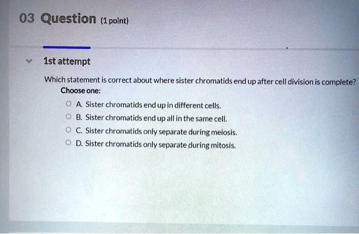Solved:03 Question (1 Point) Ist Attempt Which Statement Is Correct About Where  Sister Chromatids End Up After Cell Division Is Complete? Choose One; A Sister  Chromatids Endup In Different Cells, B. Sister Solved:03 Question (1 Point) Ist Attempt Which Statement Is Correct About Where  Sister Chromatids End Up After Cell Division Is Complete? Choose One; A Sister  Chromatids Endup In Different Cells, B. Sister