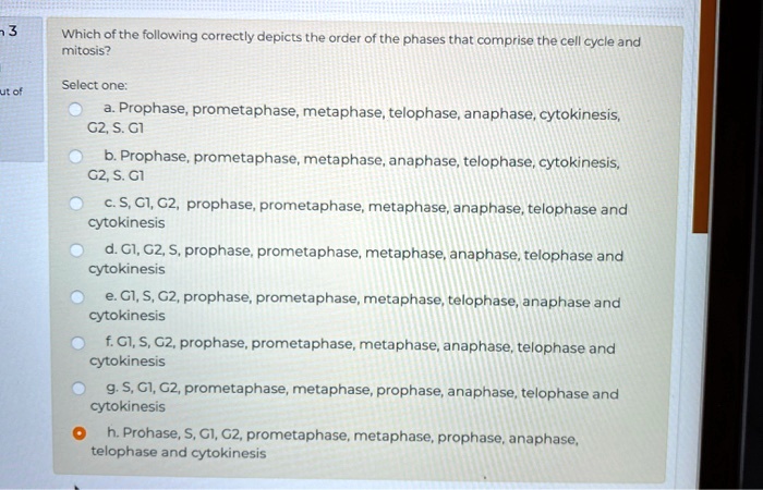 Which of the following correctly depicts the order of the phases that comprise the cell cycle and mitosis?
Select one:
a. Prophase, prometaphase, metaphase, telophase, anaphase, cytokinesis, G2, S. G1
b. Prophase, prometaphase, metaphase, anaphase, telophase, cytokinesis, G2, S. G1
c. S, G1, G2, prophase, prometaphase, metaphase, anaphase, telophase and cytokinesis
d. G1, G2, S, prophase, prometaphase, metaphase, anaphase, telophase and cytokinesis
e. G1, S, G2, prophase, prometaphase, metaphase, telophase, anaphase and cytokinesis
f. G1, S, G2, prophase, prometaphase, metaphase, anaphase, telophase and cytokinesis
g. S, G1, G2, prometaphase, metaphase, prophase, anaphase, telophase and cytokinesis
h. Prohase, S, G1, G2, prometaphase, metaphase, prophase, anaphase, telophase and cytokinesis