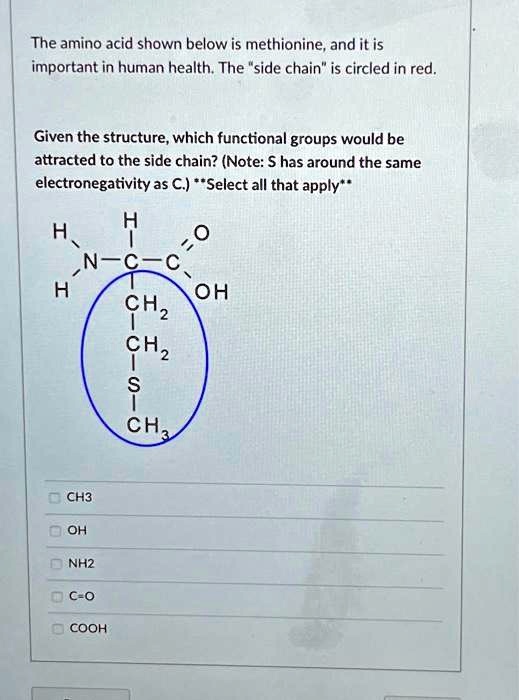 SOLVED: The amino acid shown below is methionine, and it is important ...