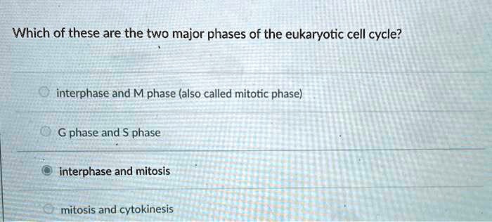 Which of these are the two major phases of the eukaryotic cell cycle?
interphase and M phase (also called mitotic phase)
G phase and S phase
interphase and mitosis
mitosis and cytokinesis