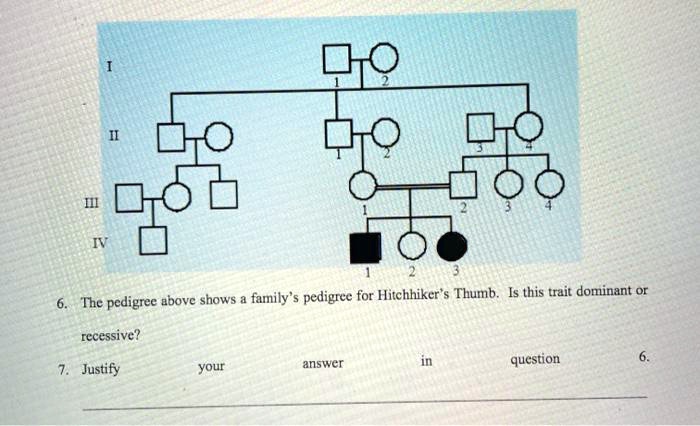 SOLVED: family' pedigree for Hitchhiker'Thumb: Is this trait dominant ...