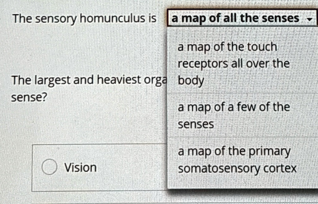 The sensory homunculus is a map of all the senses a map of the touch ...