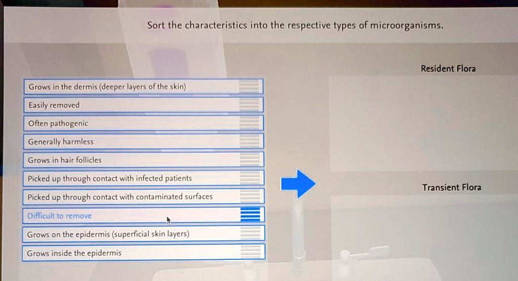 SOLVED Sort the characteristics into the respective types of