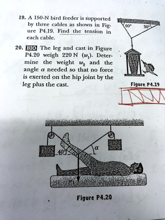 SOLVED 19. A 150N bird feeder is supported by three cables as shown