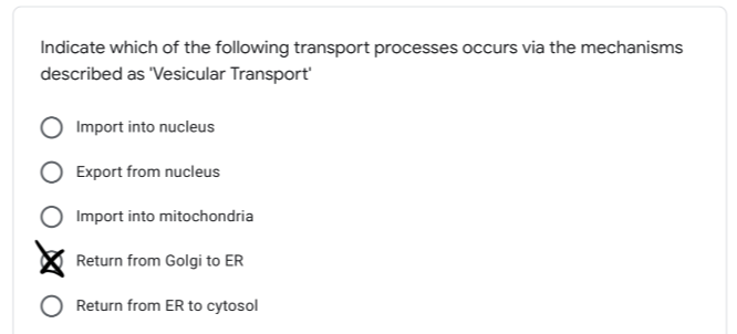 Indicate which of the following transport processes occurs via the mechanisms described as 'Vesicular Transport'
Import into nucleus
Export from nucleus
Import into mitochondria
Return from Golgi to ER
Return from ER to cytosol