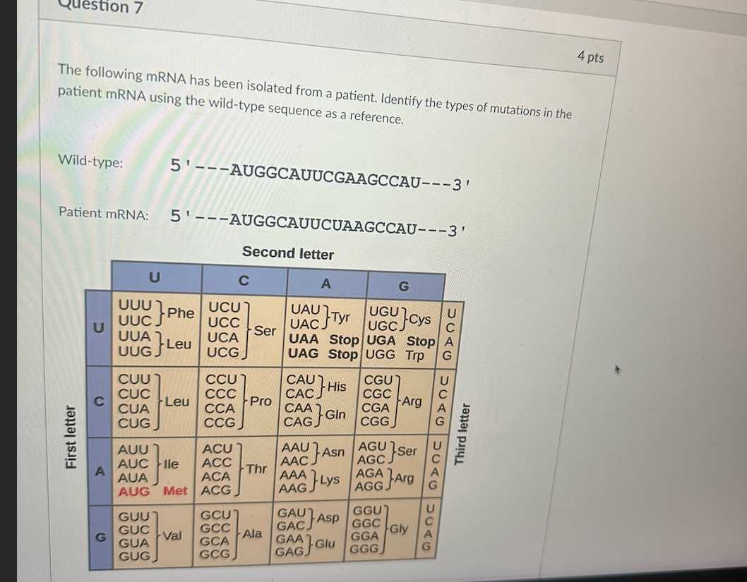 4 pts

The following mRNA has been isolated from a patient. Identify the types of mutations in the patient mRNA using the wild-type sequence as a reference.

Wild-type:

    5^'—A U G G C A U U C G A A G C C A U—3  '


Patient mRNA: 5^'— AUGGCAUUCUAAGCCAU—3'
Second letter