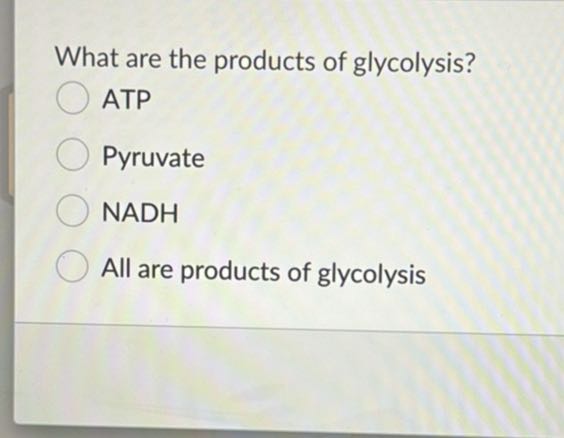 What are the products of glycolysis?
ATP
Pyruvate
NADH
All are products of glycolysis