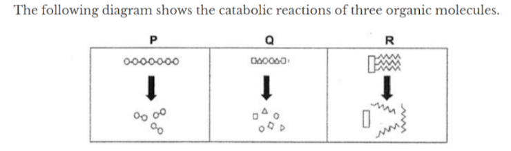 The following diagram shows the catabolic reactions of three organic ...