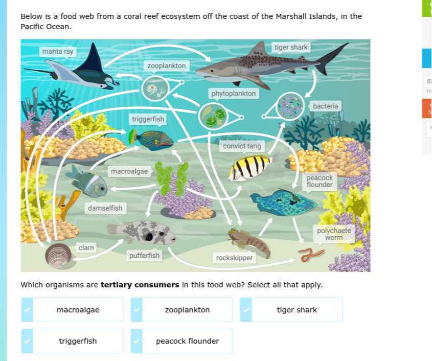 Below is a food web from a coral reef ecosystem off the coast of the ...
