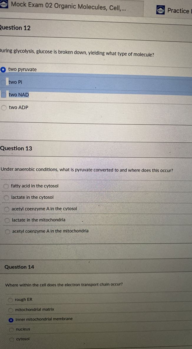Mock Exam 02 Organic Molecules, Cell,...
Practice

2uestion 12
uring glycolysis, glucose is broken down, yielding what type of molecule?
two pyruvate
two Pi
two NAD
two ADP

Question 13

Under anaerobic conditions, what is pyruvate converted to and where does this occur?
fatty acid in the cytosol
lactate in the cytosol
acetyl coenzyme A in the cytosol
lactate in the mitochondria
acetyl coenzyme A in the mitochondria

Question 14

Where within the cell does the electron transport chain occur?
rough ER
mitochondrial matrix
inner mitochondrial membrane
nucleus
cytosol