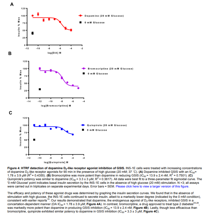 A
B

C

Figure 4: HTRF detection of dopamine D2-like receptor agonist inhibition of GSIS. INS-1E cells were treated with increasing concentrations of dopamine D2-like receptor agonists for 90  min in the presence of high glucose (20 mM ; 37^∘C). (A) Dopamine inhibited GSIS with an IC 50= 1.78 ± 3.9 μM(R^2=0.4355). (B) Bromocriptine was more potent than dopamine in reducing GSIS ( IC50=13.9 ± 2.4 nM, R^2=0.7501 ). (C) Quinpirole's potency was similar to dopamine ( (C50=3.3 ± 3 μM, R^2=0.3617. ). All data were best fit to a three-parameter fit sigmoidal curve. The ' 0 mM Glucose' point indicates basal insulin secretion by the INS-1E cells in the absence of high glucose (20 mM) stimulation. N>3; all assays were carried out in triplicates on separate experimental days. Error bars = SEM. Please click here to view a larger version of this figure.

The efficacy and potency of these agonist drugs was determined by graphing the insulin secretion curves. We found that in the absence of stimulation with high glucose, the INS-1E cells continued to secrete insulin, albeit to a markedly lower degree (indicated by the 0 mM condition), consistent with earlier reports ^15. Our results demonstrated that dopamine, the endogenous agonist of D2-like receptors, inhibited GSIS in a concertation-dependent manner (DA IC50=1.78 ± 3.9 μM; Figure 4A). In contrast, bromocriptine, a drug approved to treat type 2 diabetes ^23,24, was markedly more potent than dopamine in producing GSIS inhibition ( IC50=13.9 ± 2.4 nM; Figure 4  B ). Lastly, though less efficacious than bromocriptine, quinpirole exhibited similar potency to dopamine in GSIS inhibition (IC S50=3.3 ± 3 μM; Figure 4 C ).