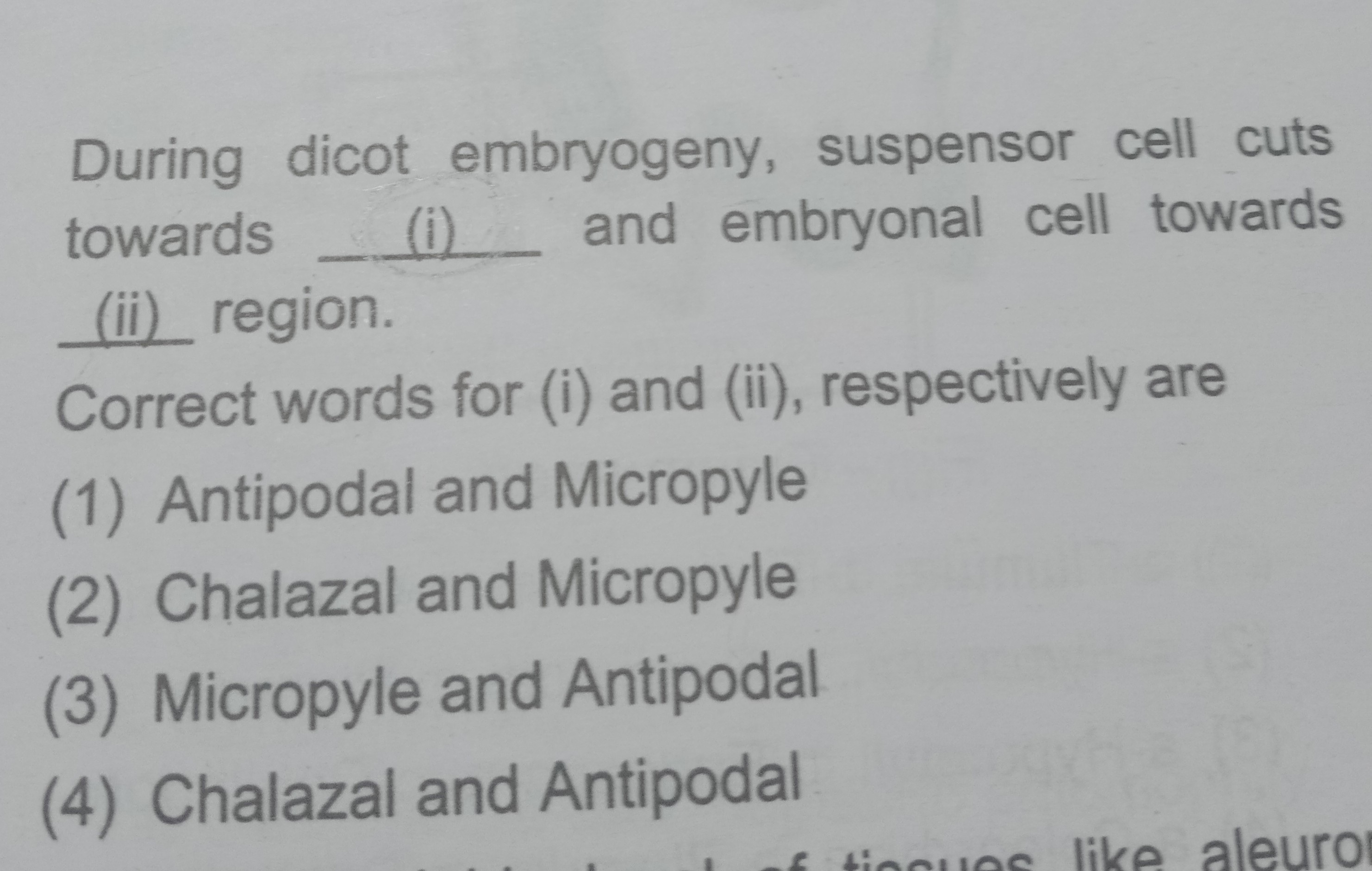 During dicot embryogeny, suspensor cell cuts towards (i) and embryonal ...