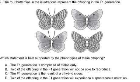 2. The four butterflies in the illustrations represent the offspring in ...