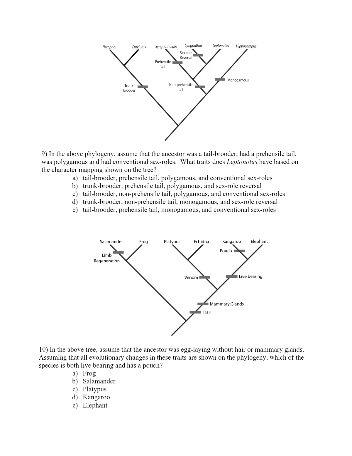 SOLVED: 9) In the above phylogeny, assume that the ancestor was a tail ...