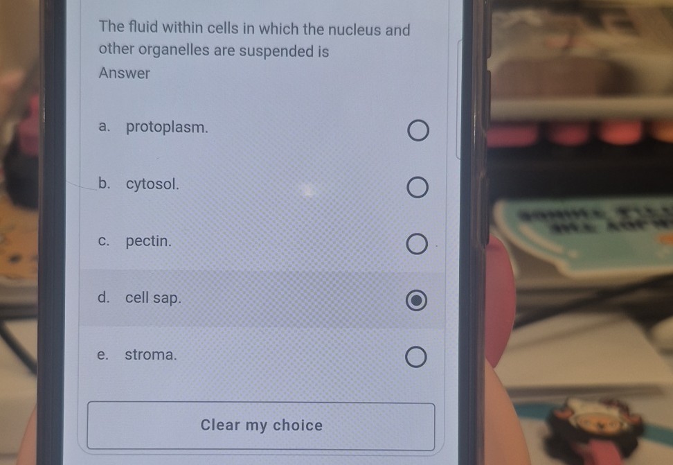 Cell Sap The fluid within cells in which the nucleus and other organelles are ...