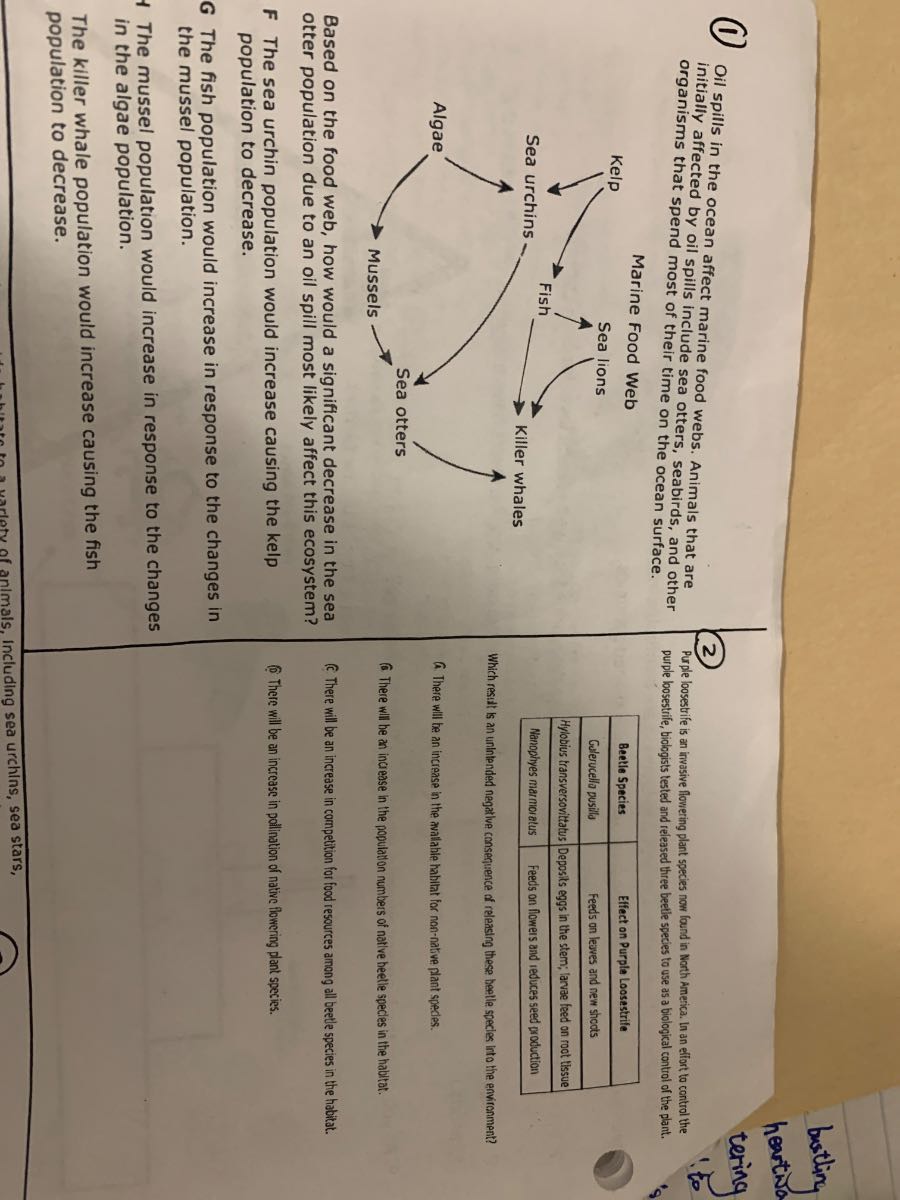 (1) Oil spills in the ocean affect marine food webs. Animals that are ...