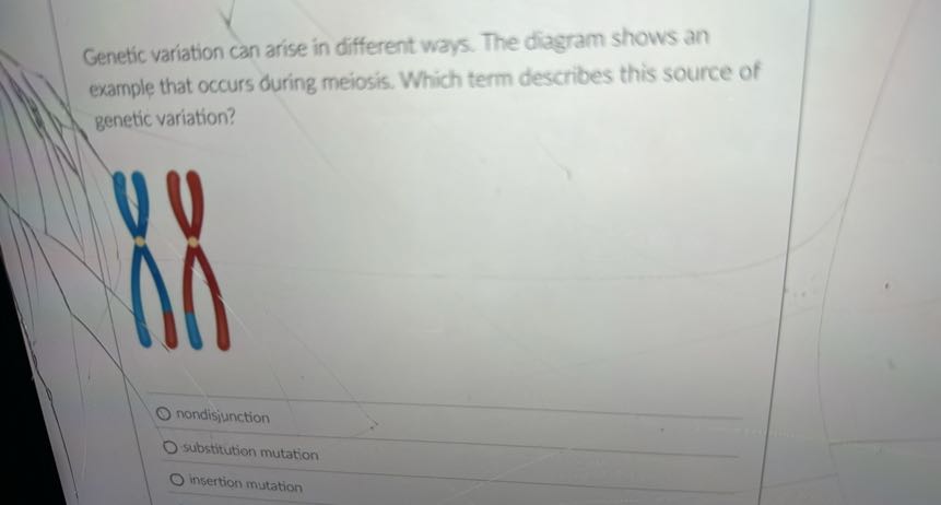 Genetic variation can arise in different ways. The diagram shows an ...