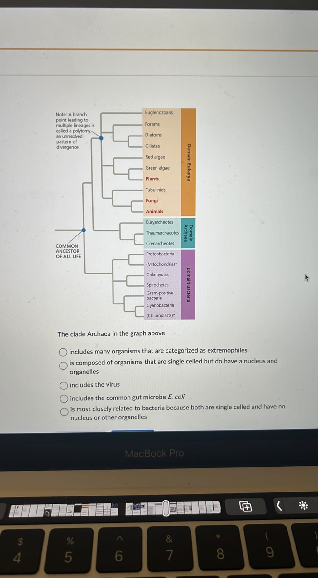 The clade Archaea in the graph above includes many organisms that are ...