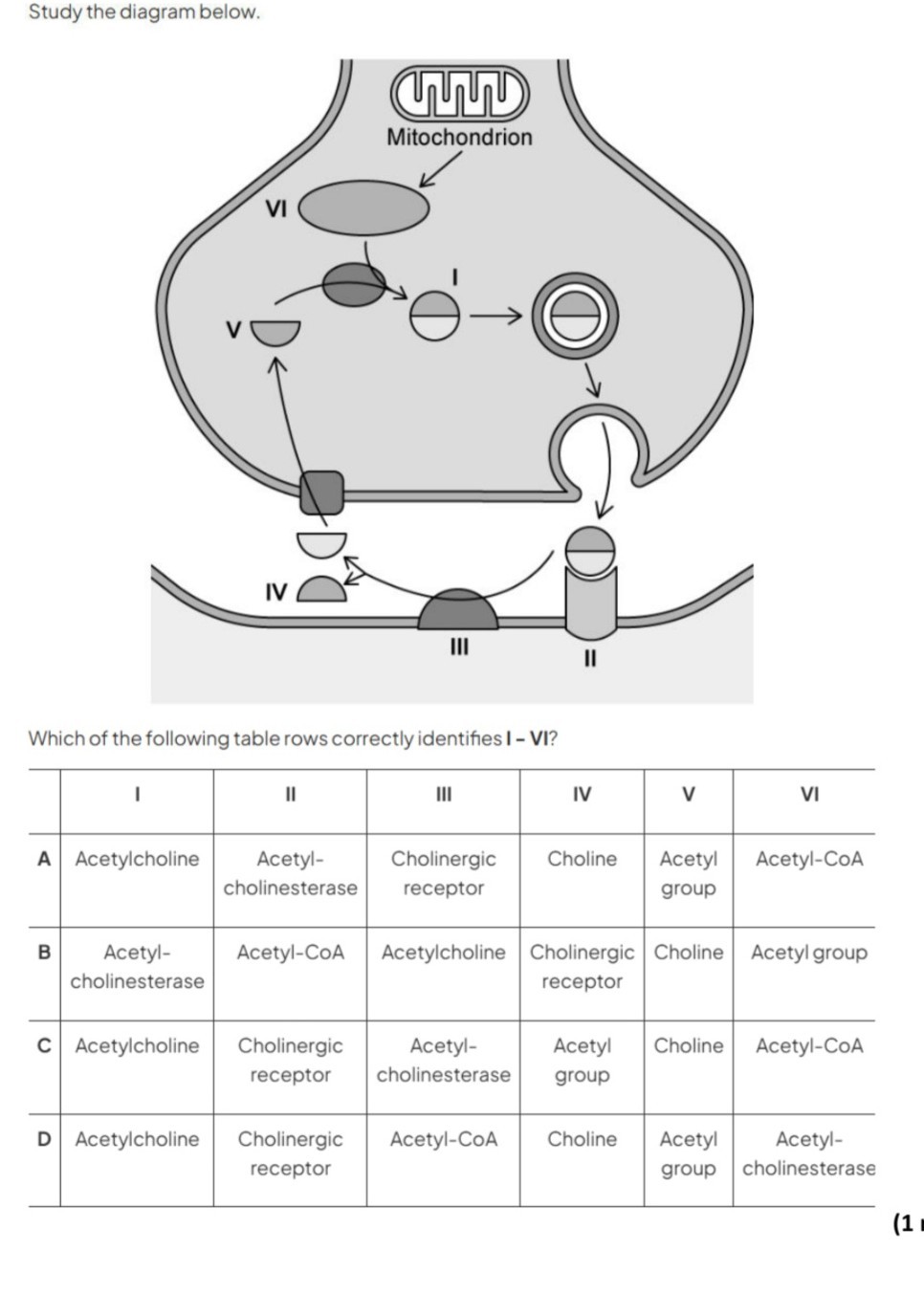 Study the diagram below. Which of the following table rows correctly ...