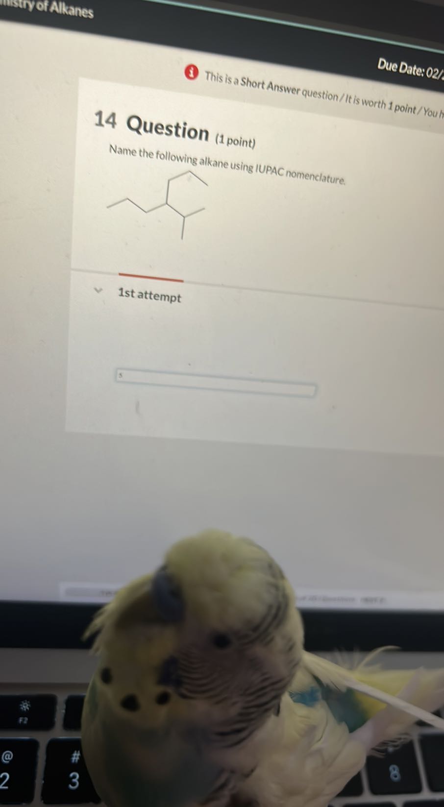 mstryof Alkanes
Due Date: 02
(1) This is a Short Answer question / It is worth 1 point / You

14 Question (1 point)
Name the following alkane using IUPAC nomenclature.

1st attempt
□
F2