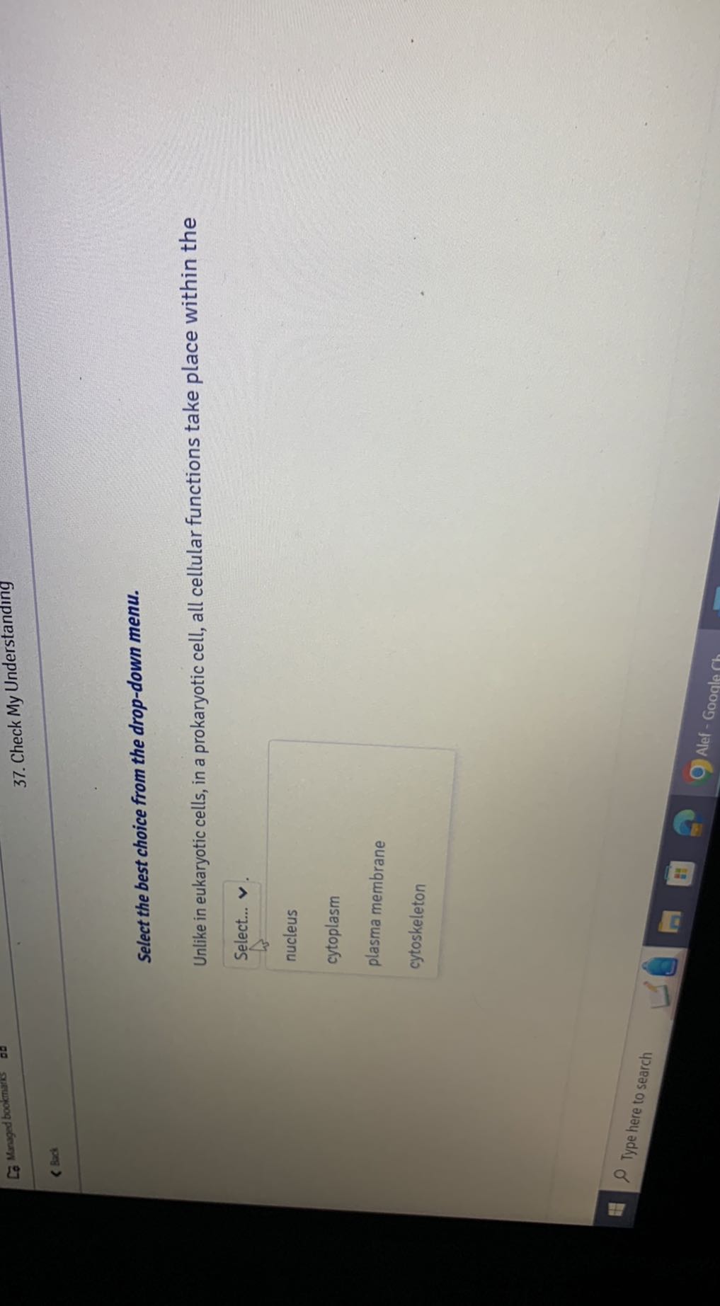 Managed bookmints
37. Check My Understanding
(Back

Select the best choice from the drop-down menu.
Unlike in eukaryotic cells, in a prokaryotic cell, all cellular functions take place within the
Select..
nucleus
cytoplasm
plasma membrane
cytoskeleton
