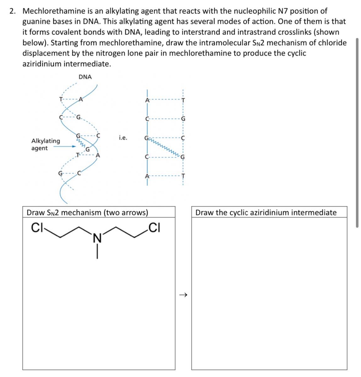 Mechlorethamine Injection 2. Mechlorethamine is an alkylating agent that reacts with the ...