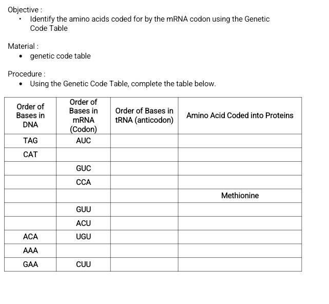 Objective : - Identify the amino acids coded for by the mRNA codon ...