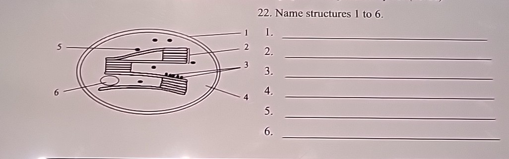 22. Name structures 1 to 6 .
1. 
2. 
3. 
4. 
5. 
6. 