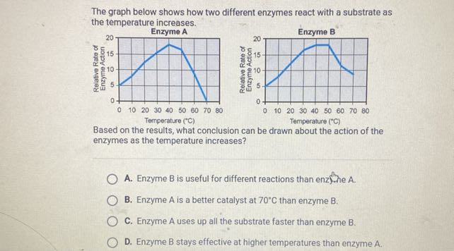 The graph below shows how two different enzymes react with a substrate ...