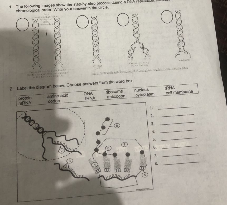1. The following images show the step-by-step process during a ...