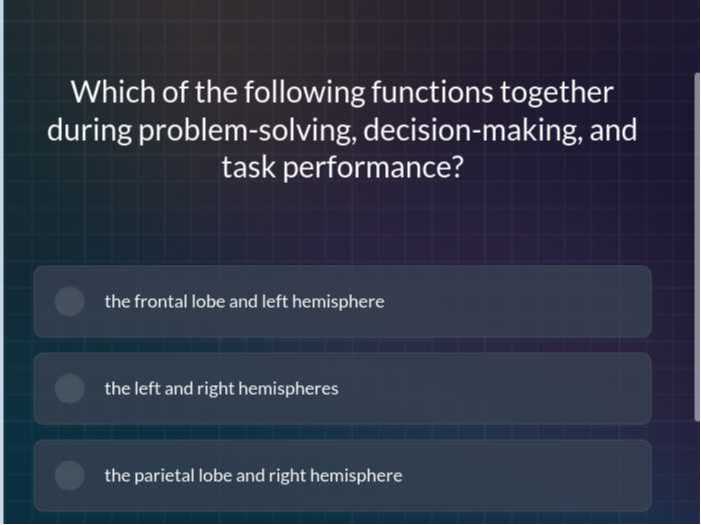 left hemisphere in problem solving