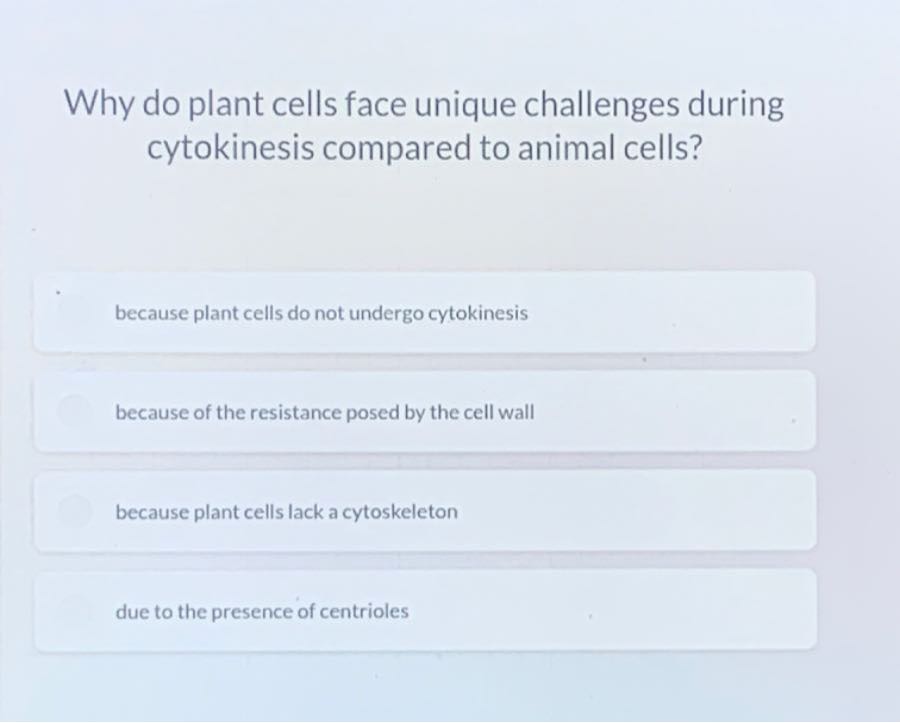 Why do plant cells face unique challenges during cytokinesis compared