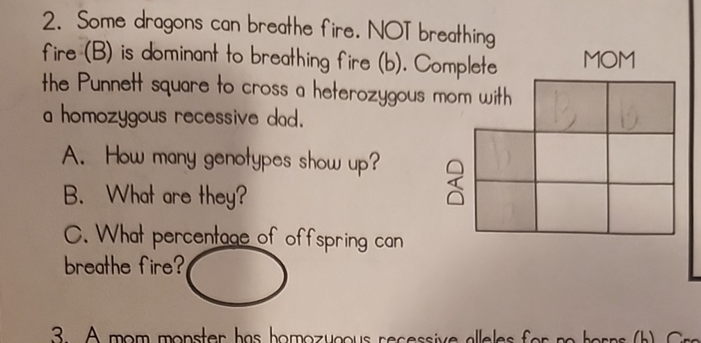 2. Some dragons can breathe fire. NOT breothing fire (B) is dominant to breathing fire (b). Complete the Punnett square to cross a heterozygous mom with a homozygous recessive dad.
A. How many genotypes show up?
B. What ore they?
C. What percentage of offspring can MOM breathe fire?