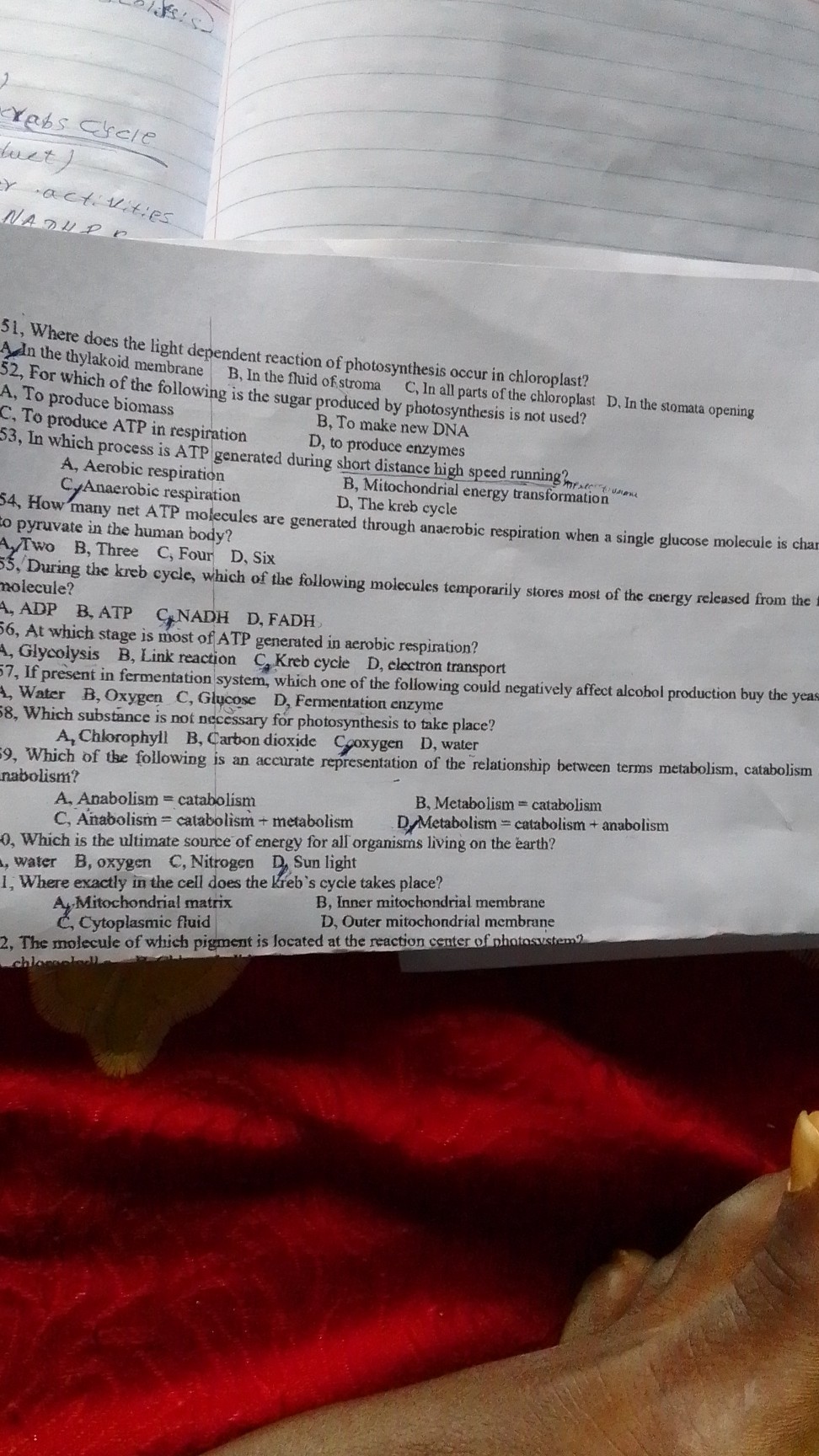 Probic Paper 51, Where does the light dependent reaction of photosynthesis occur in ...