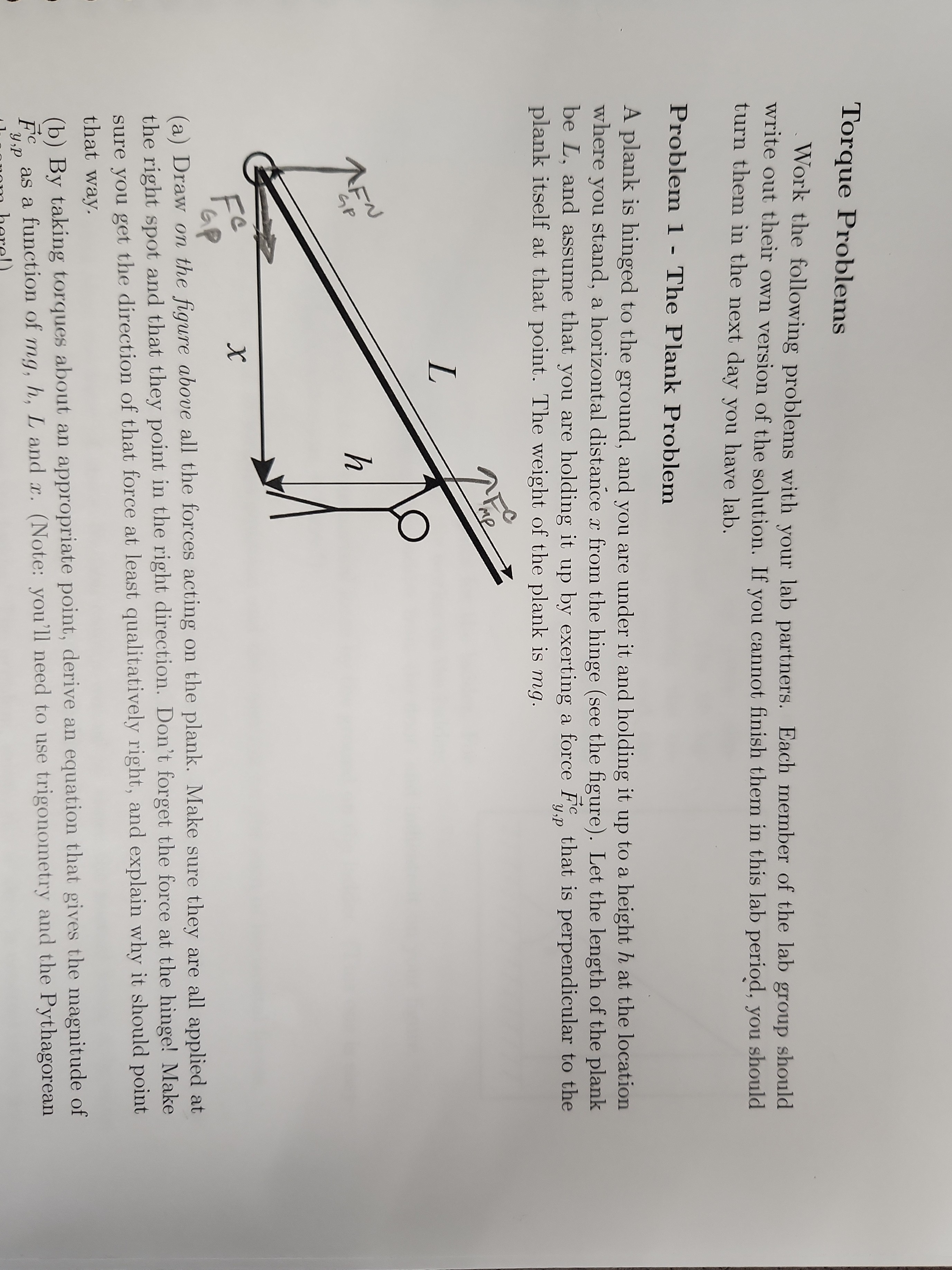Torque Problems
Work the following problems with your lab partners. Each member of the lab group should write out their own version of the solution. If you cannot finish them in this lab period, you should turn them in the next day you have lab.

Problem 1 - The Plank Problem
A plank is hinged to the ground, and you are under it and holding it up to a height h at the location where you stand, a horizontal distance x from the hinge (see the figure). Let the length of the plank be L, and assume that you are holding it up by exerting a force F⃗y, p^c that is perpendicular to the plank itself at that point. The weight of the plank is m g.
(a) Draw on the figure above all the forces acting on the plank. Make sure they are all applied at the right spot and that they point in the right direction. Don't forget the force at the hinge! Make sure you get the direction of that force at least qualitatively right, and explain why it should point that way.
(b) By taking torques about an appropriate point, derive an equation that gives the magnitude of F⃗y, p^c as a function of m g, h, L and x. (Note: you'll need to use trigonometry and the Pythagorean